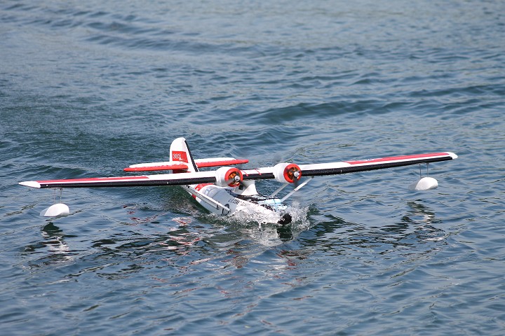 Viehofner See, 31. Mai 2015 - Foto 66 - klick = zurck zum Index